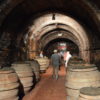 Avignonesi Wine Cellar
